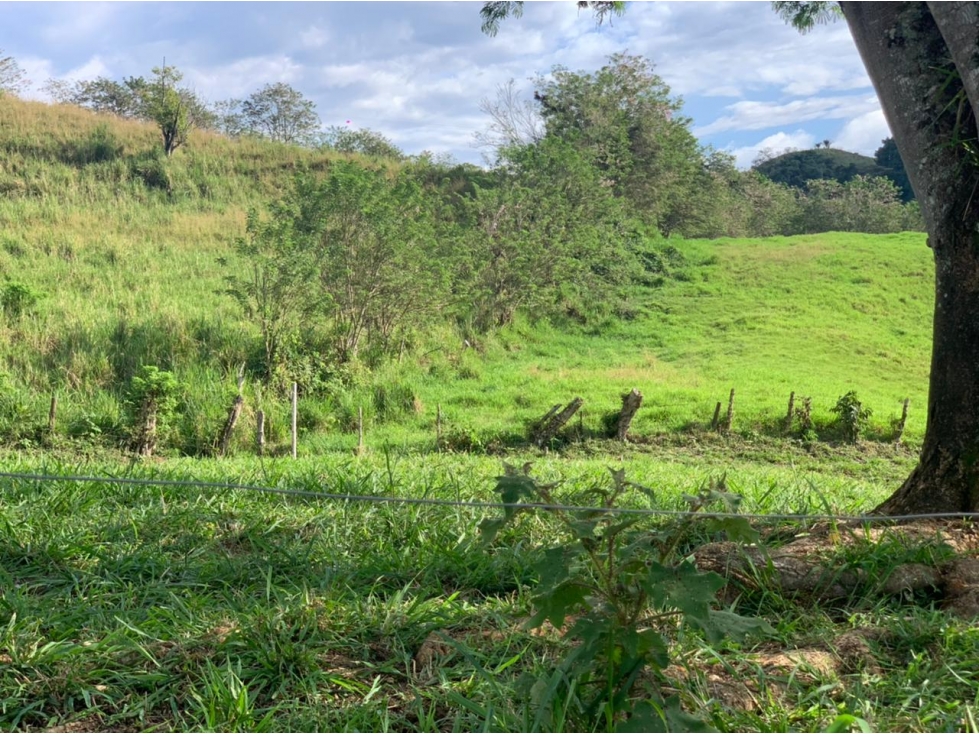 Lote Condominio Campestre Vereda Palermo Manizales