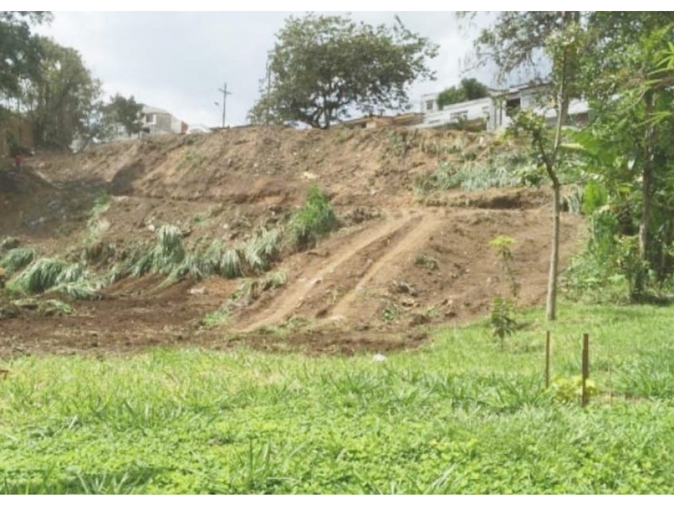 Lote Urbano Pereira