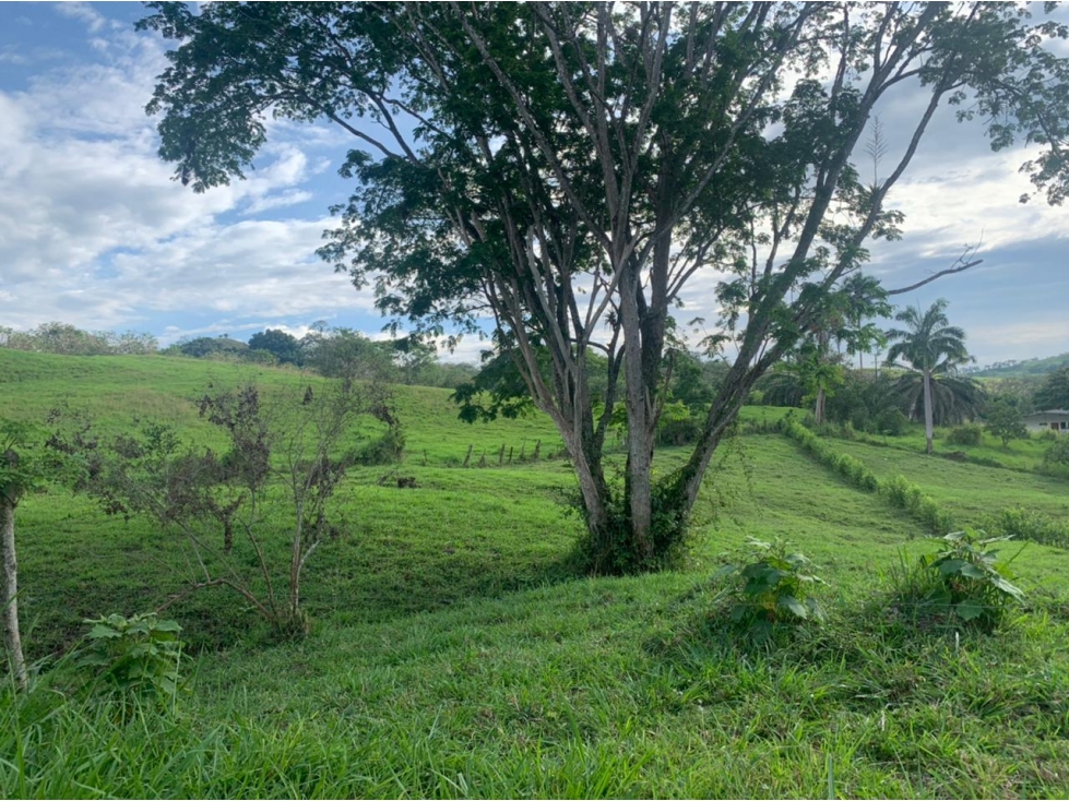 Lote Condominio Campestre Vereda Palermo Vía Manizales Medellín — foto 3
