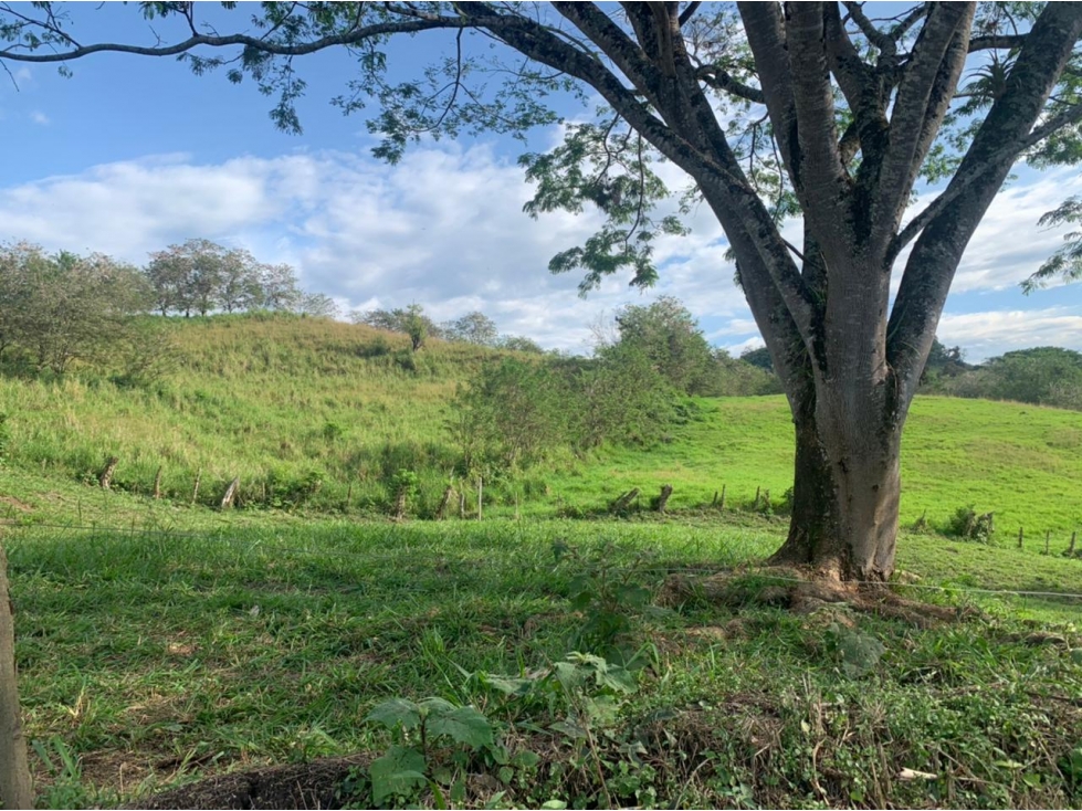 Lote Condominio Campestre Kilometro 47 Vía Manizales Medellín — foto 4