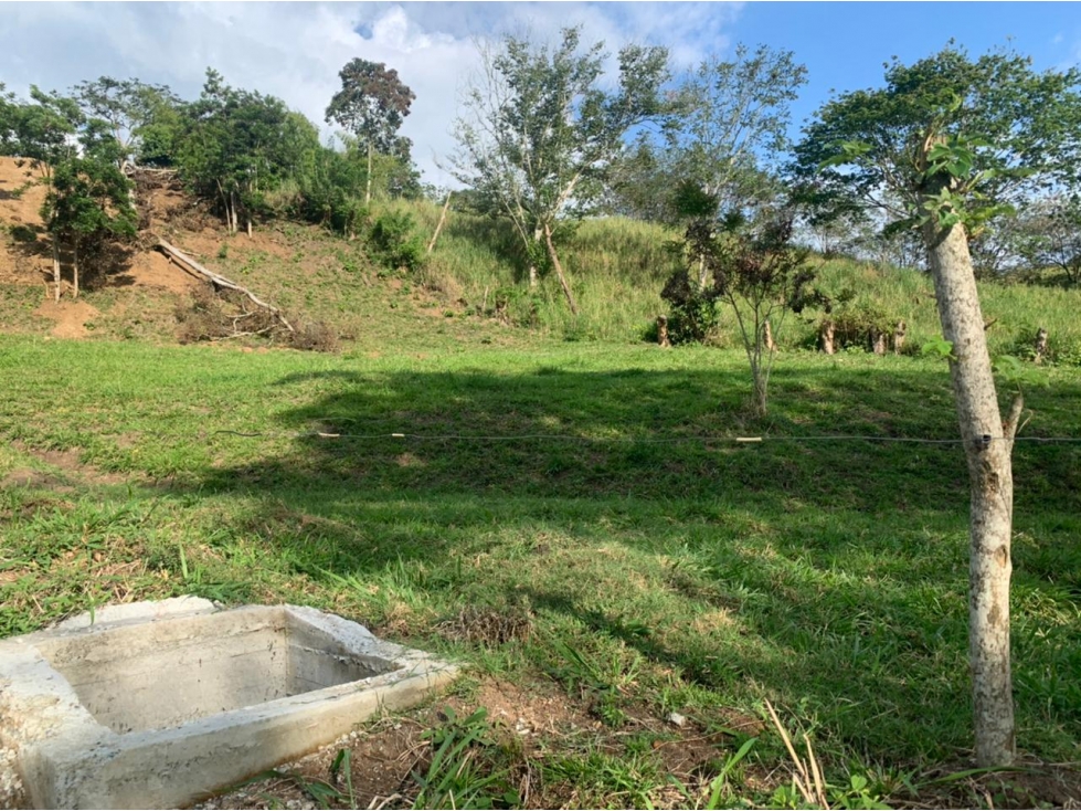 Lote Condominio Campestre Vereda Palermo Manizales — foto 2