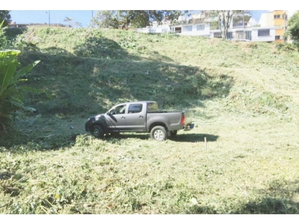 Lote Urbano Pereira — foto 2