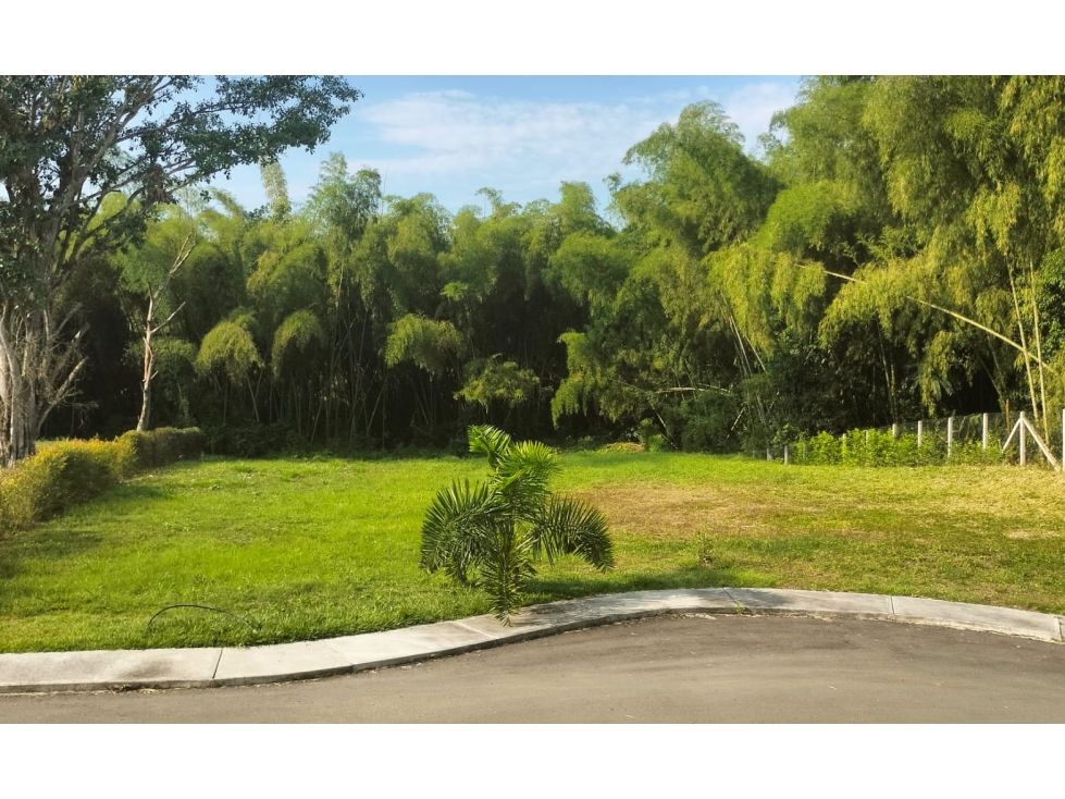 Lote Condominio Campestre Cerritos Pereira — foto 2