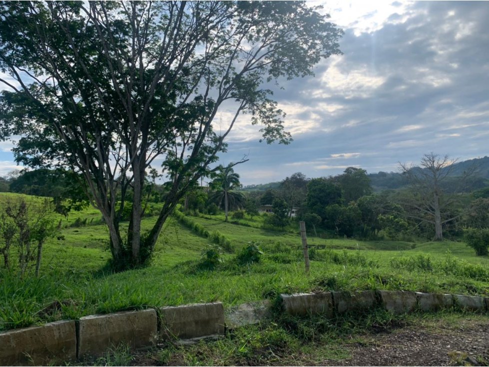 Lote Condominio Campestre Vereda Palermo Vía Manizales Medellín — foto 2