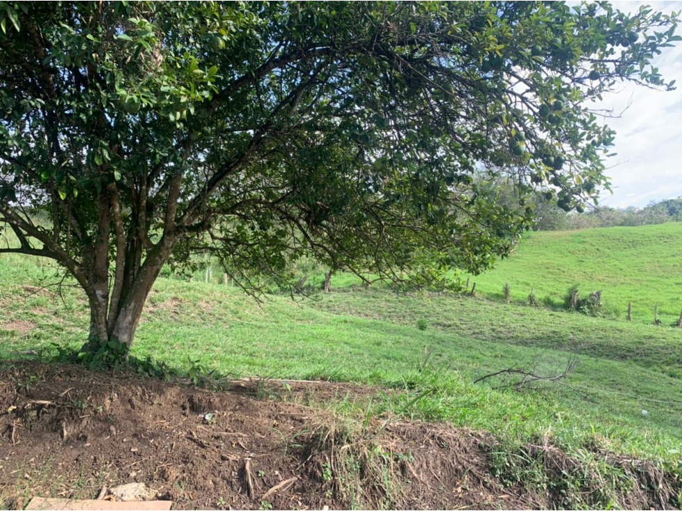 Lote Condominio Campestre Vereda Palermo Manizales — foto 4