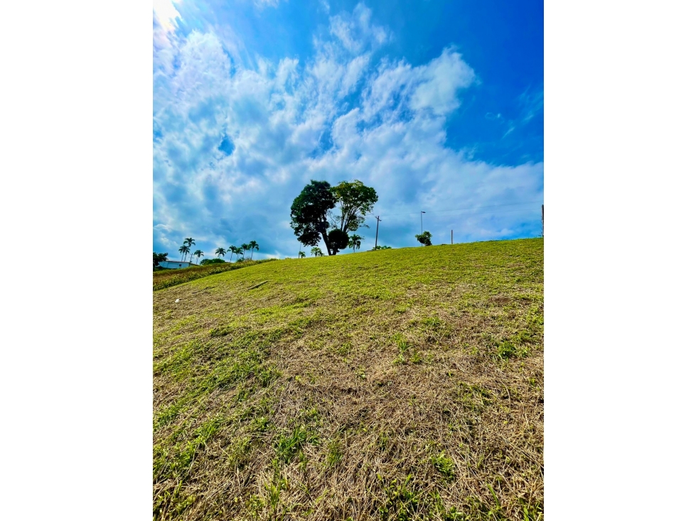 Lote Parcelación Campestre La Estrella vía Alcalá Pereira — foto 3