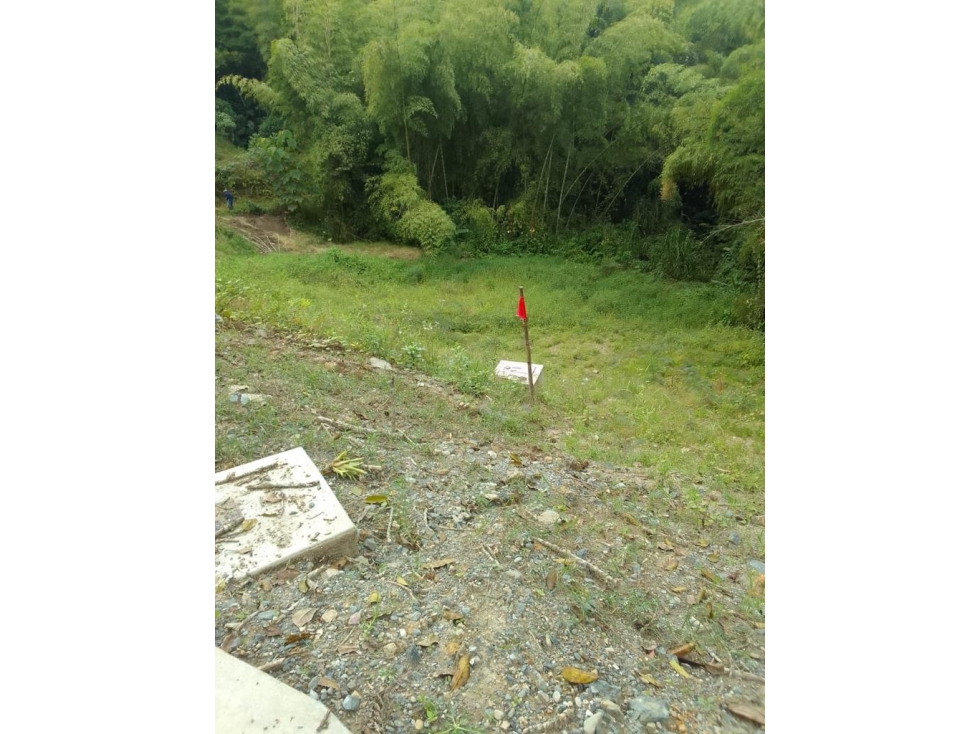 Lote Condominio Campestre Vereda la Trinidad Manizales — foto 4
