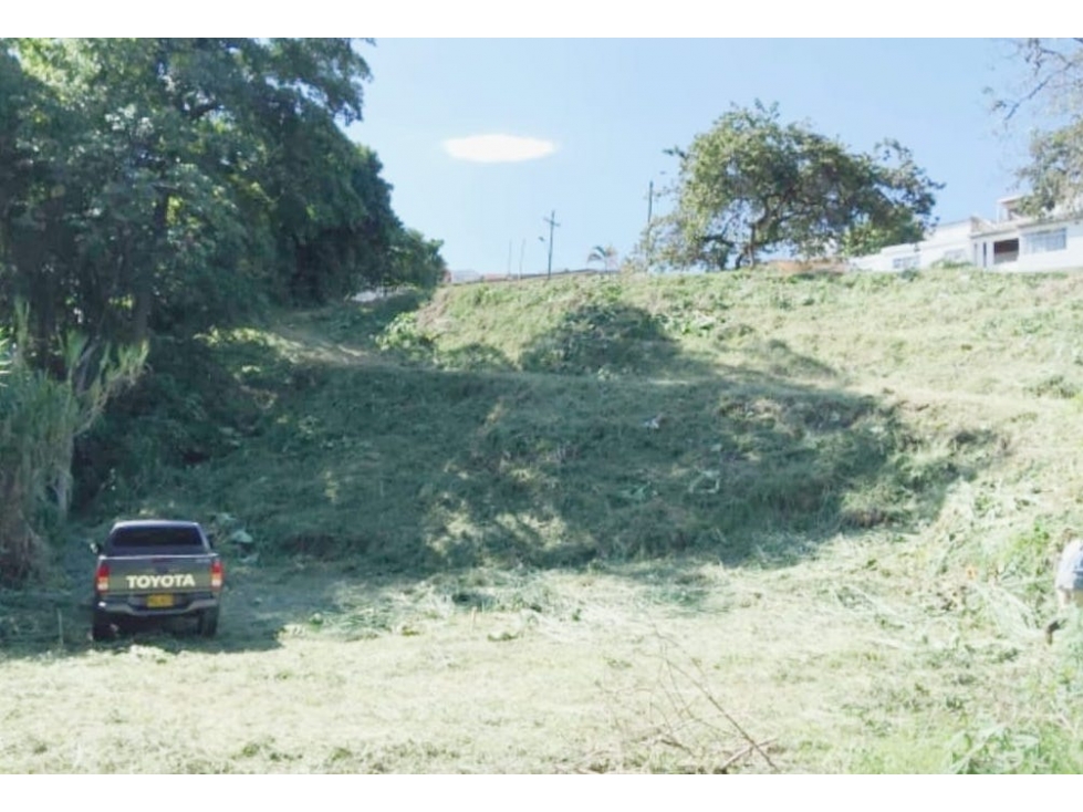 Lote Urbano Pereira — foto 3