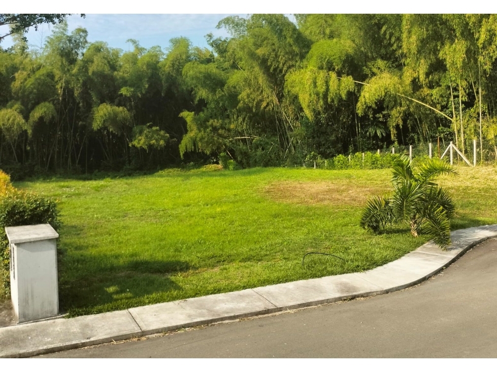 Lote Condominio Campestre Cerritos Pereira — foto 3