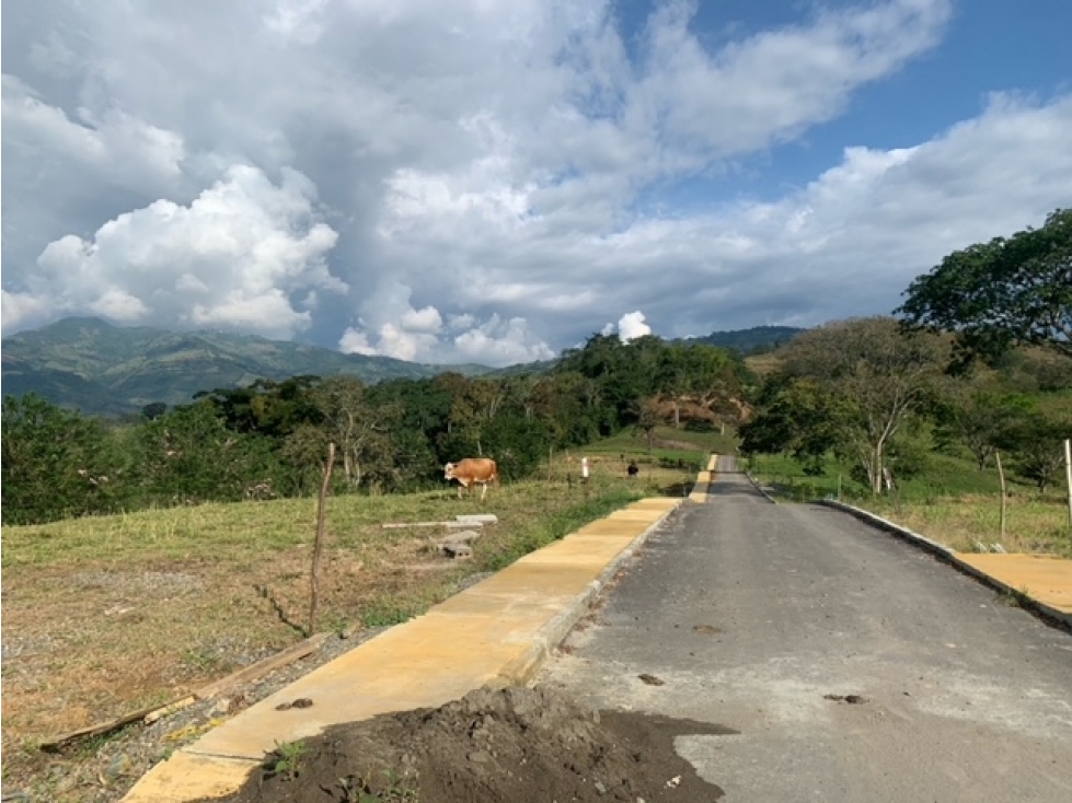 Lote Condominio Campestre Vereda Palermo Vía Manizales Medellín