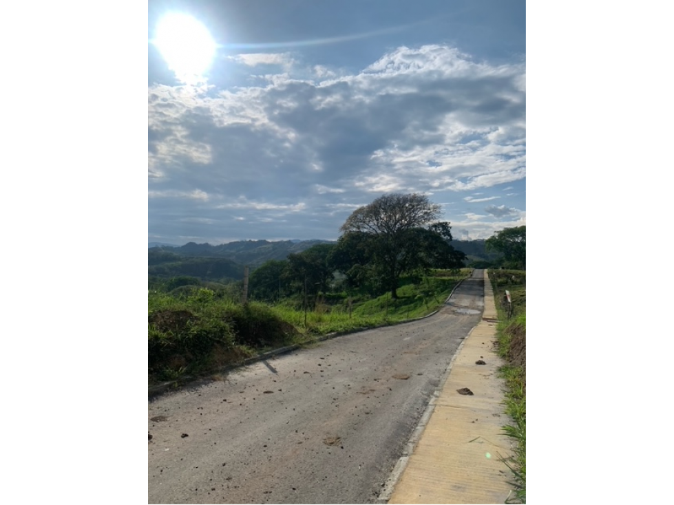 Lote Condominio Campestre Kilometro 47 Vía Manizales Medellín — foto 2