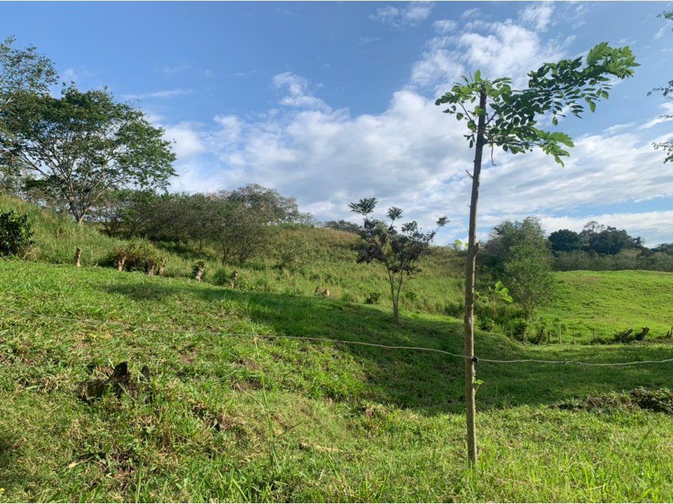 Lote Condominio Campestre Vereda Palermo Manizales — foto 3