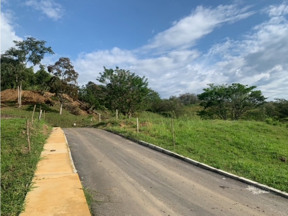 Lote Condominio Campestre Kilometro 47 Vía Manizales Medellín — foto 6