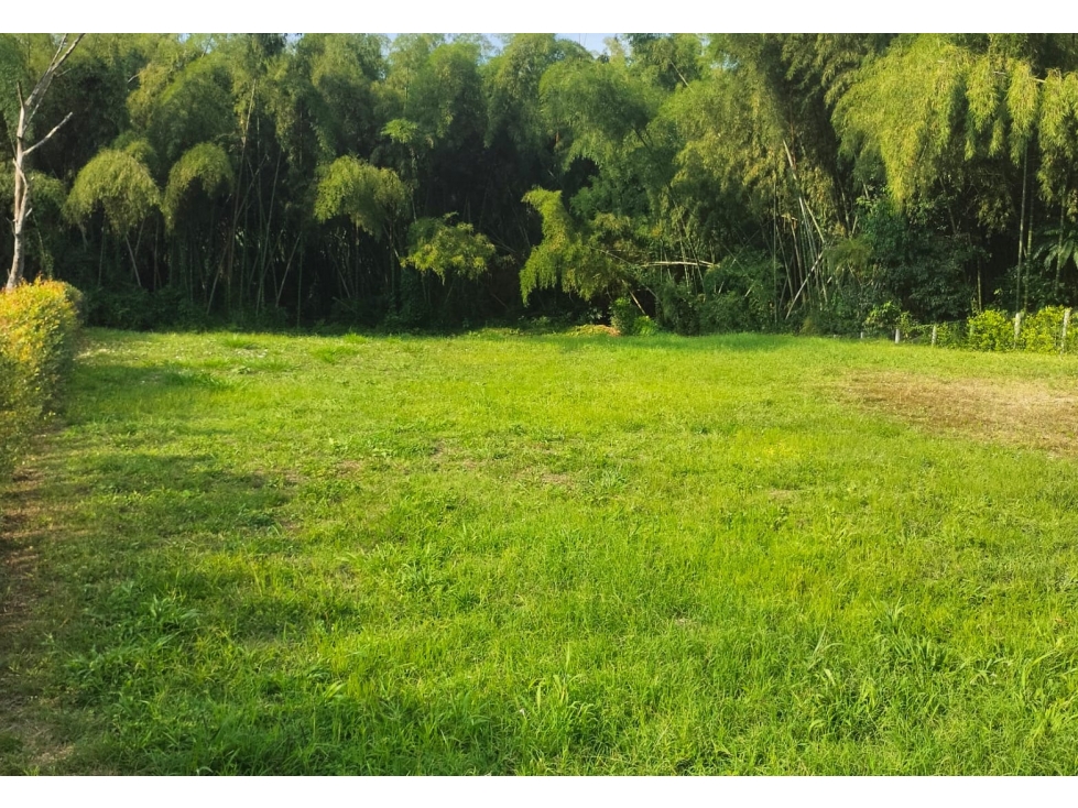 Lote Condominio Campestre Cerritos Pereira — foto 5