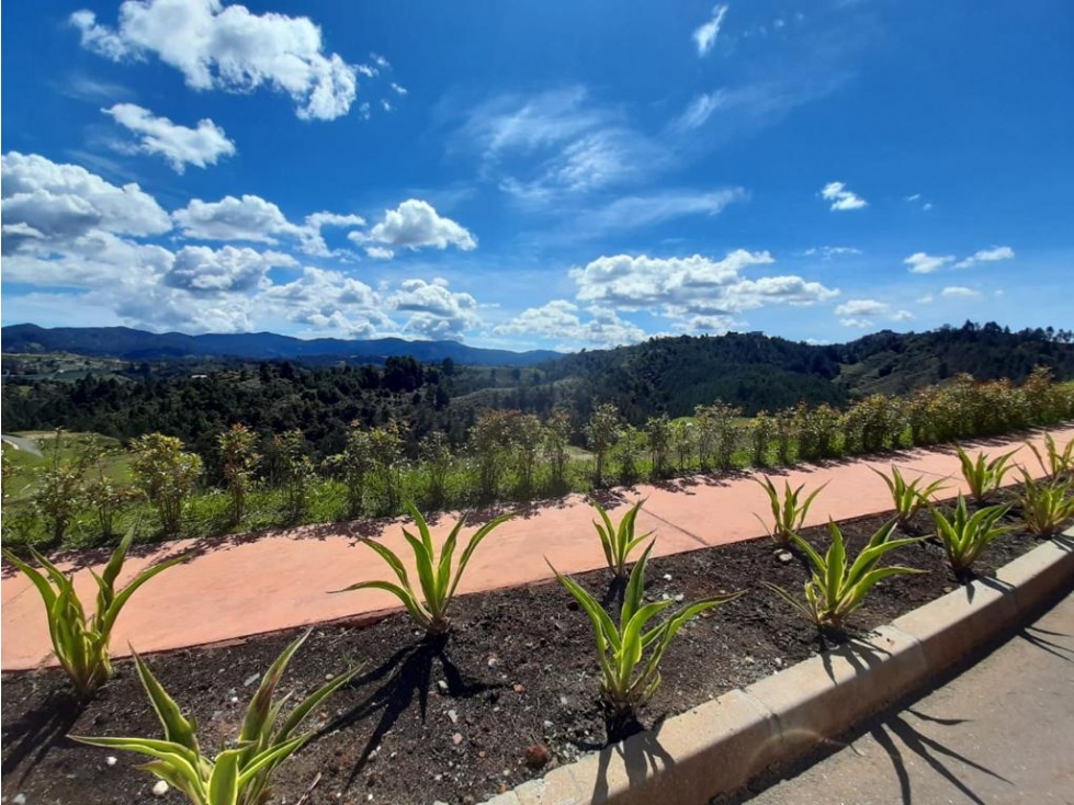 Lote en venta en El Retiro vía Pantanillo - 4