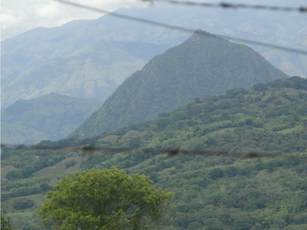 Lote para la venta en Tamesis Antioquia - 1