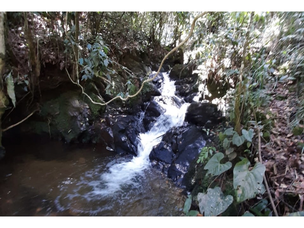 Lote en venta en Guarne Vereda El Cano