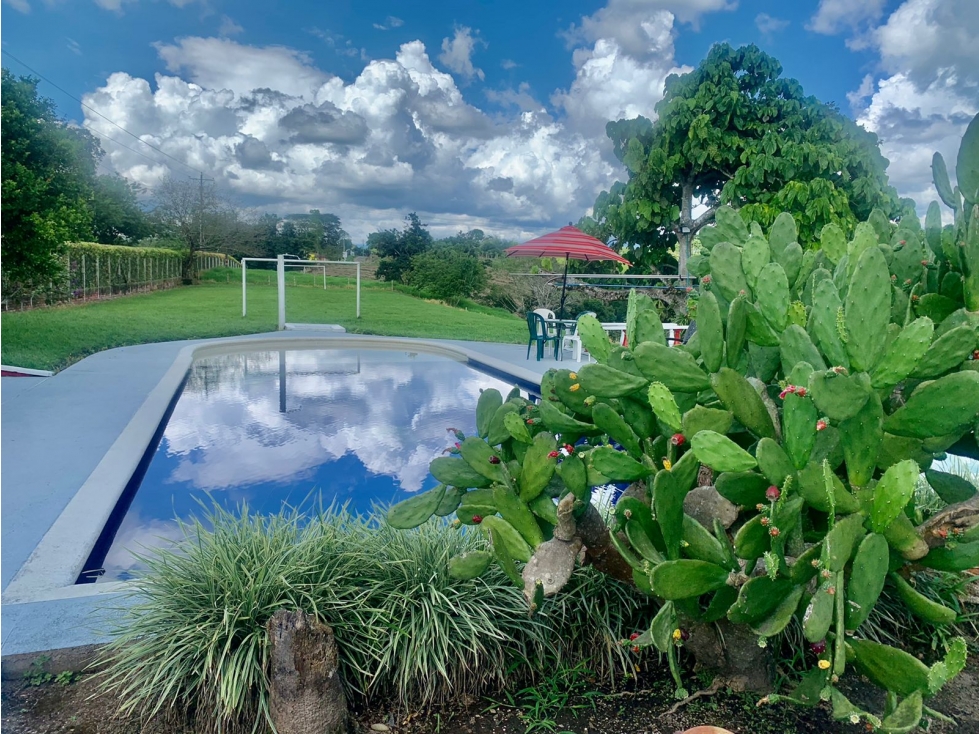 Finca en venta en El Quindío sector Vereda Calle Larga - 1