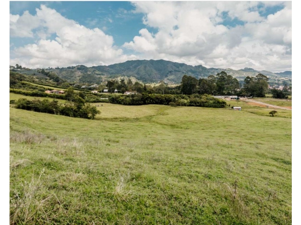 Lote en venta en La Ceja sector El tambo