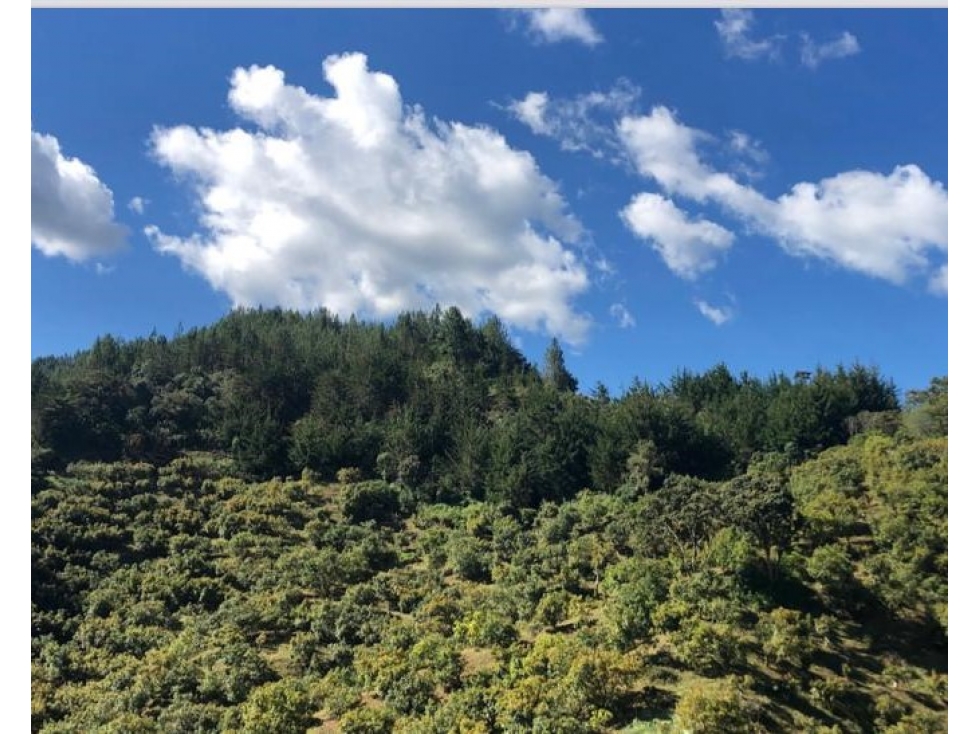 Lotes en venta en El Retiro Vereda Pantanillo