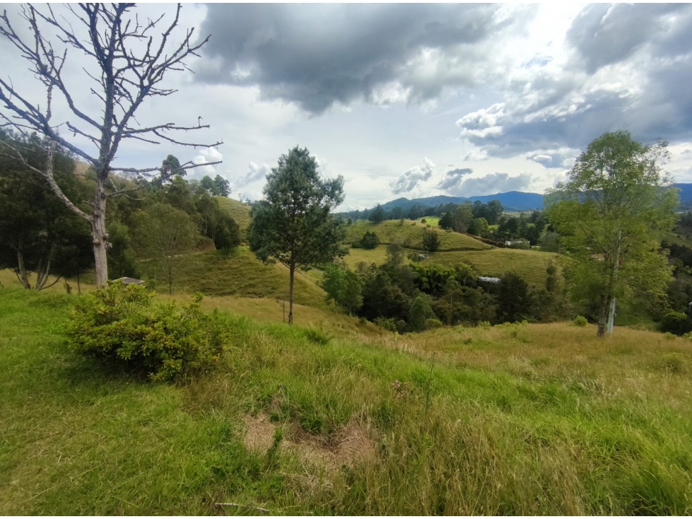 Lote con topografía mixta en venta en El Retiro Vereda Pantanillo — foto 2