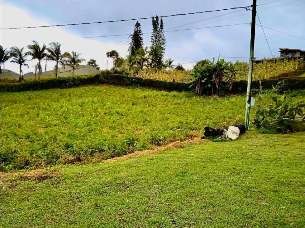 Finca - lote en venta en El Carmen de Viboral