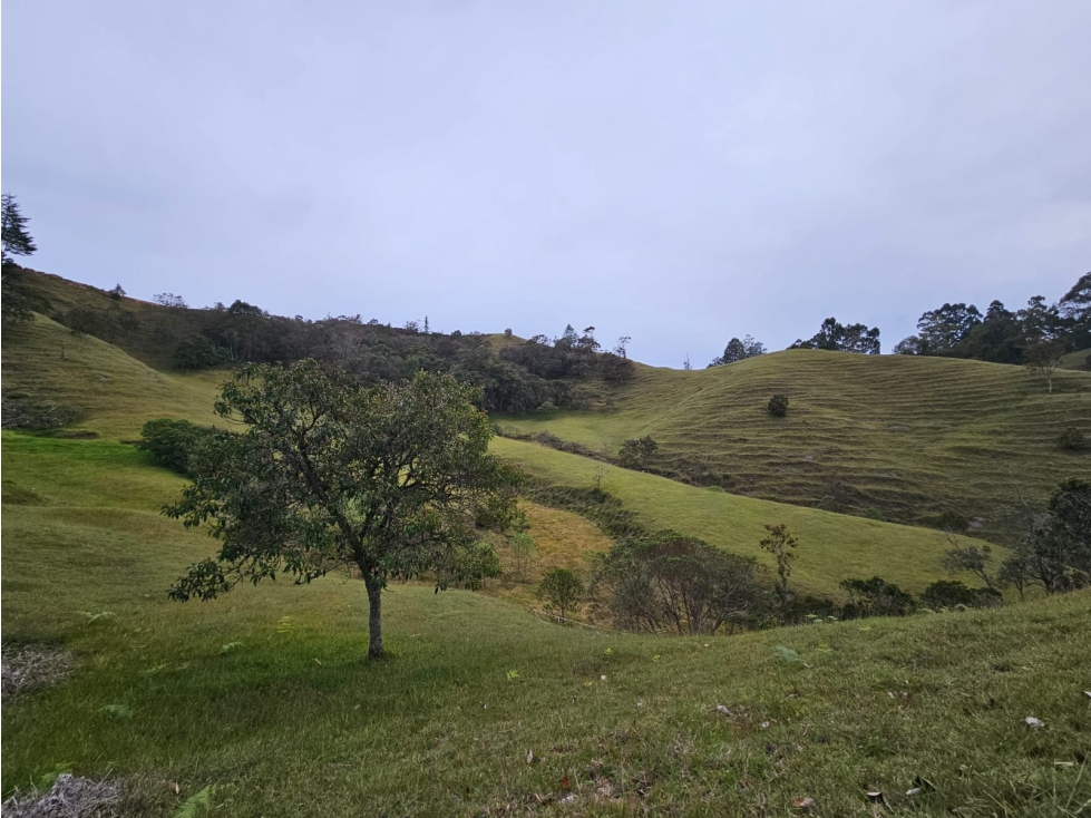 Lote en venta en El Retiro, Vereda Pantanillo
