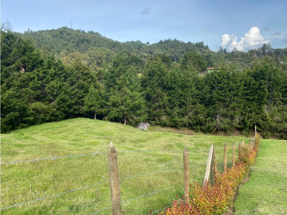 Lote en venta en Alto de Palmas