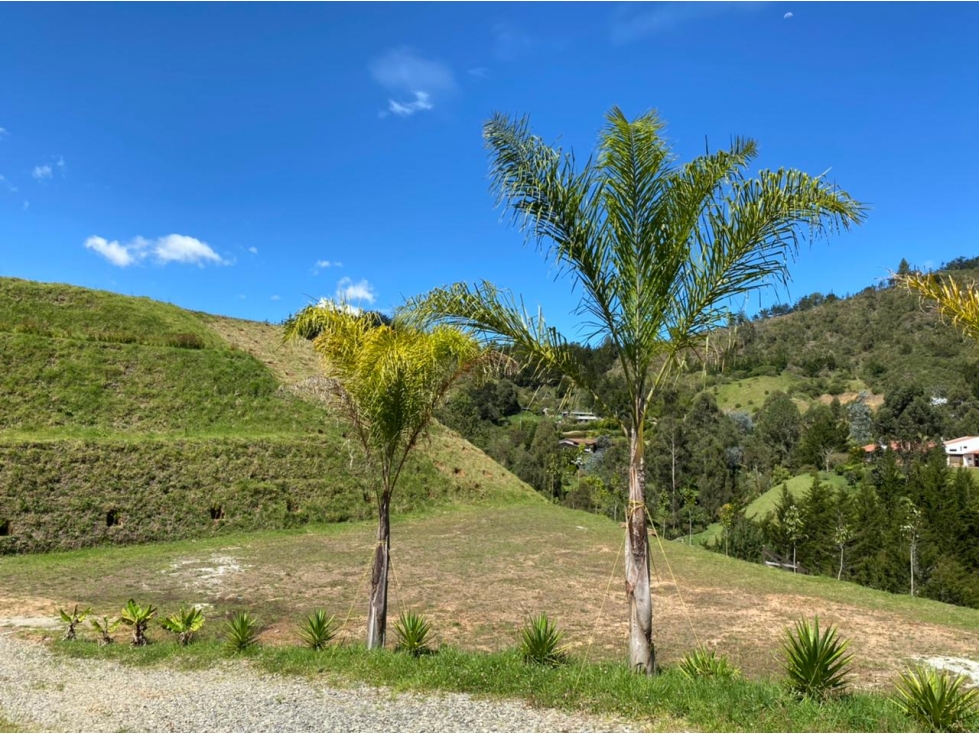 Lote en venta en El Retiro vía Pantanillo - 6