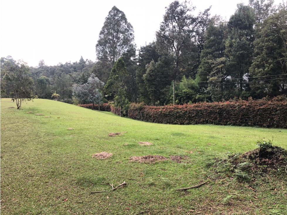 Lote en Venta en Rionegro Antioquia
