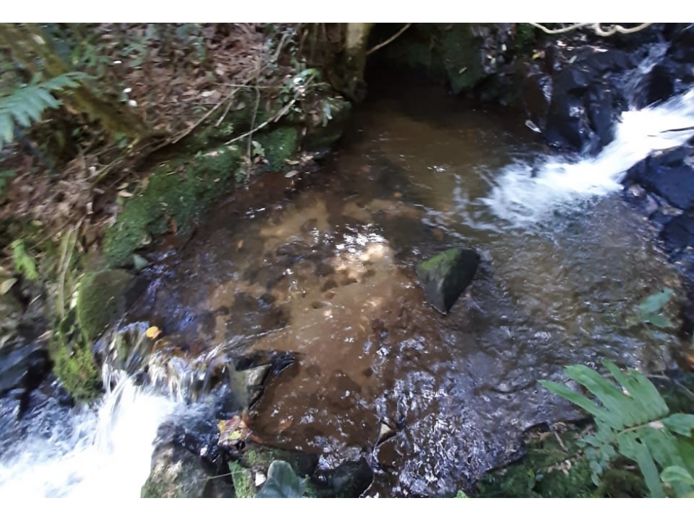Lote en venta en Guarne Vereda El Cano — foto 2