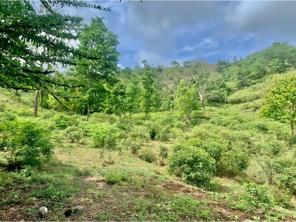 Lotes en venta en Sopetrán, Vereda Guaymaral — foto 2