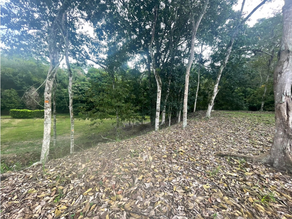 Lote en venta en Santander sector Piedecuesta - 2