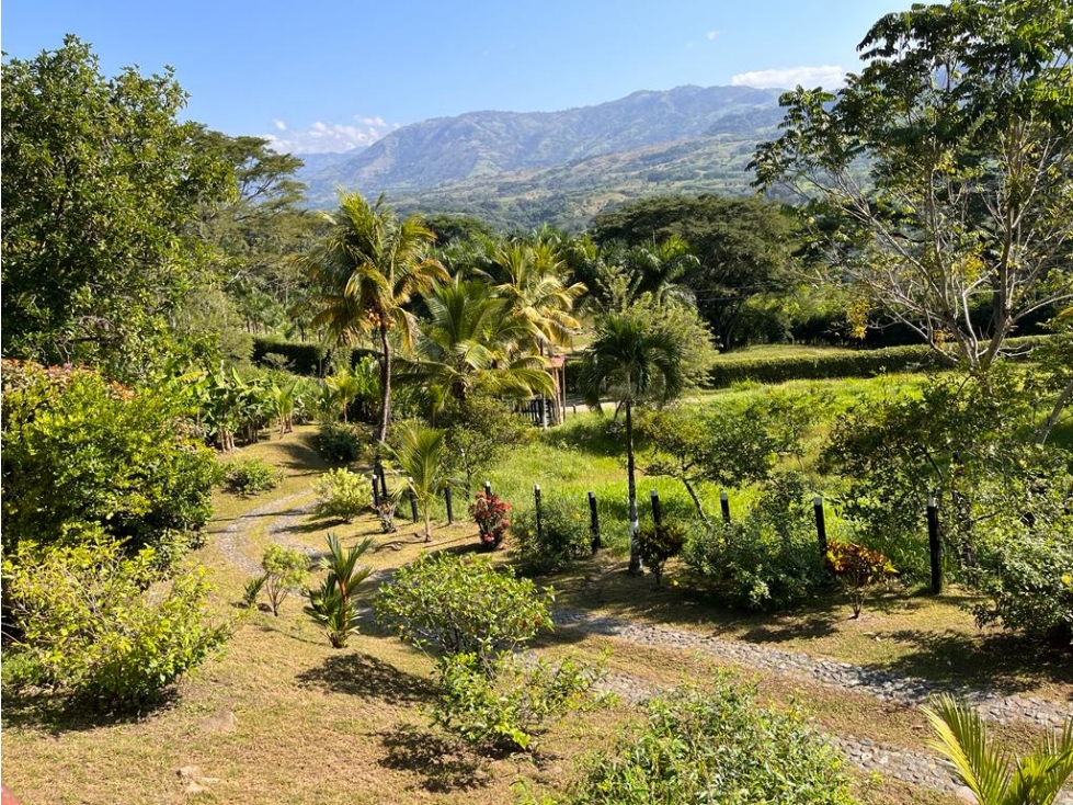 Finca en venta a 12 minutos de la Pintada - 2