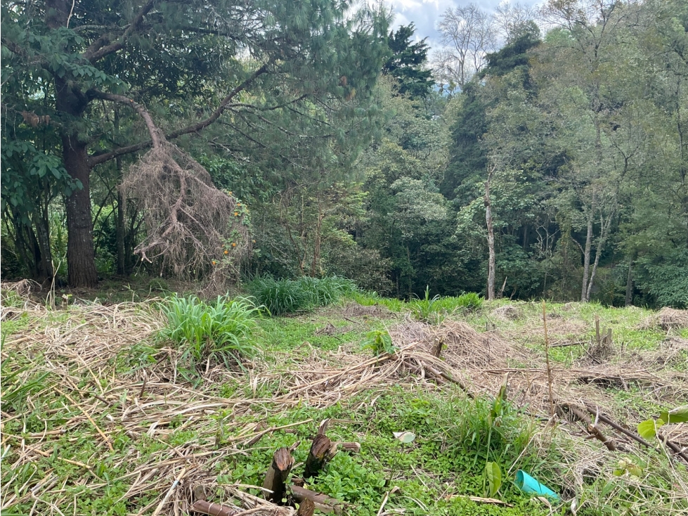Lote en venta en El Poblado, Los Balsos — foto 2