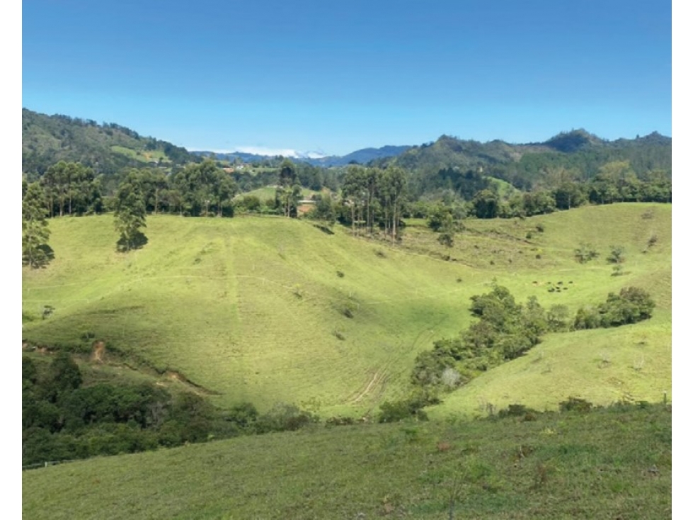 Lote en venta en El Retiro Vereda El Chuscal — foto 6