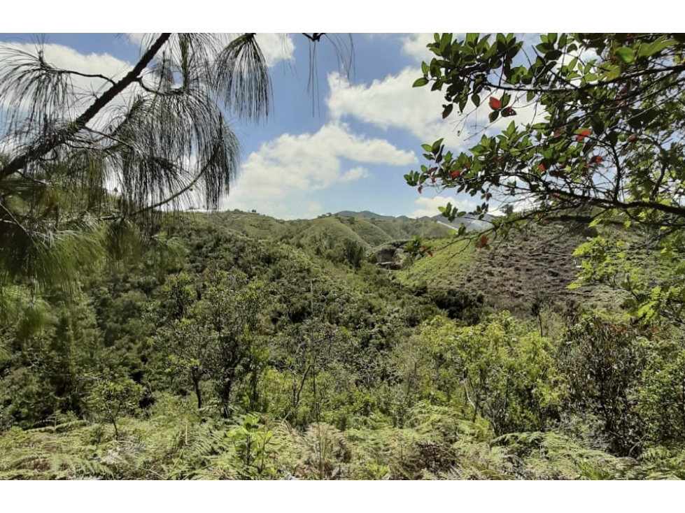 Lote en venta en Guarne Vereda El Cano — foto 3