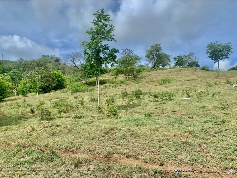 Lotes en venta en Sopetrán, Vereda Guaymaral — foto 3