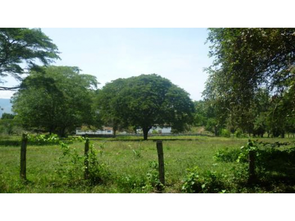 Lote en venta en Melgar Vía Carmen de Apicalá - 3