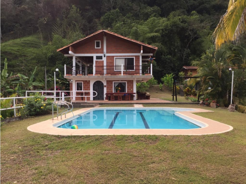 Finca en venta a 12 minutos de la Pintada - 3
