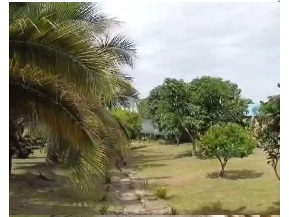 Finca en venta en Cundinamarca, La Mesa - 3