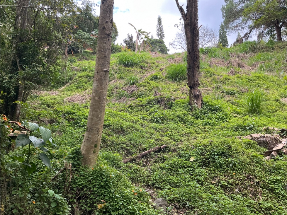 Lote en venta en El Poblado, Los Balsos — foto 3