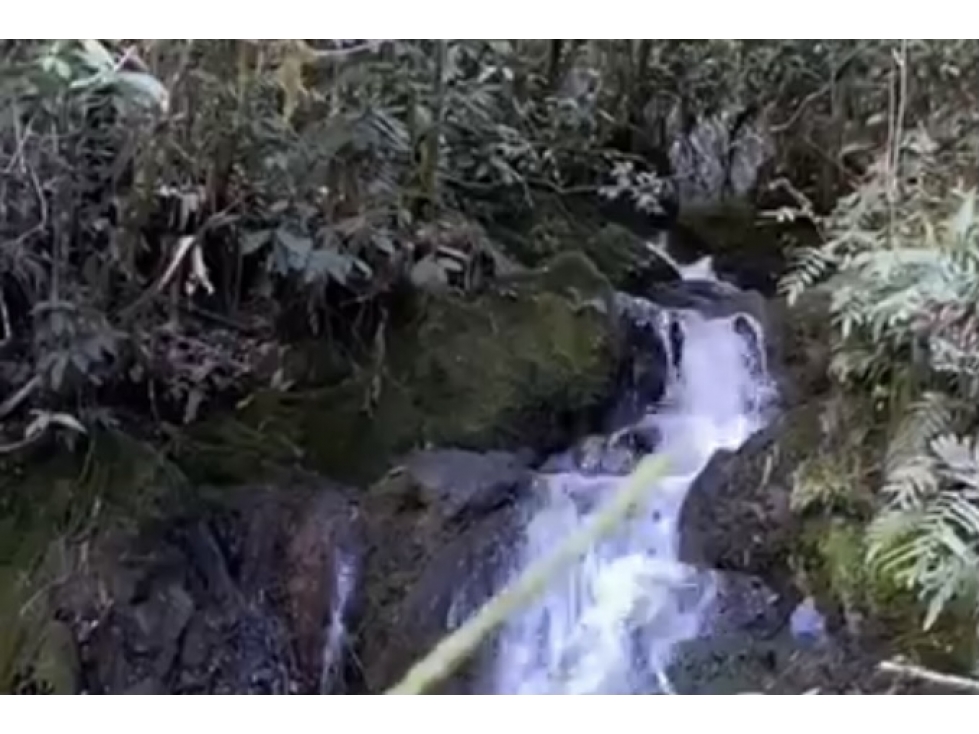 Lote en venta en Guarne Vereda El Cano — foto 4