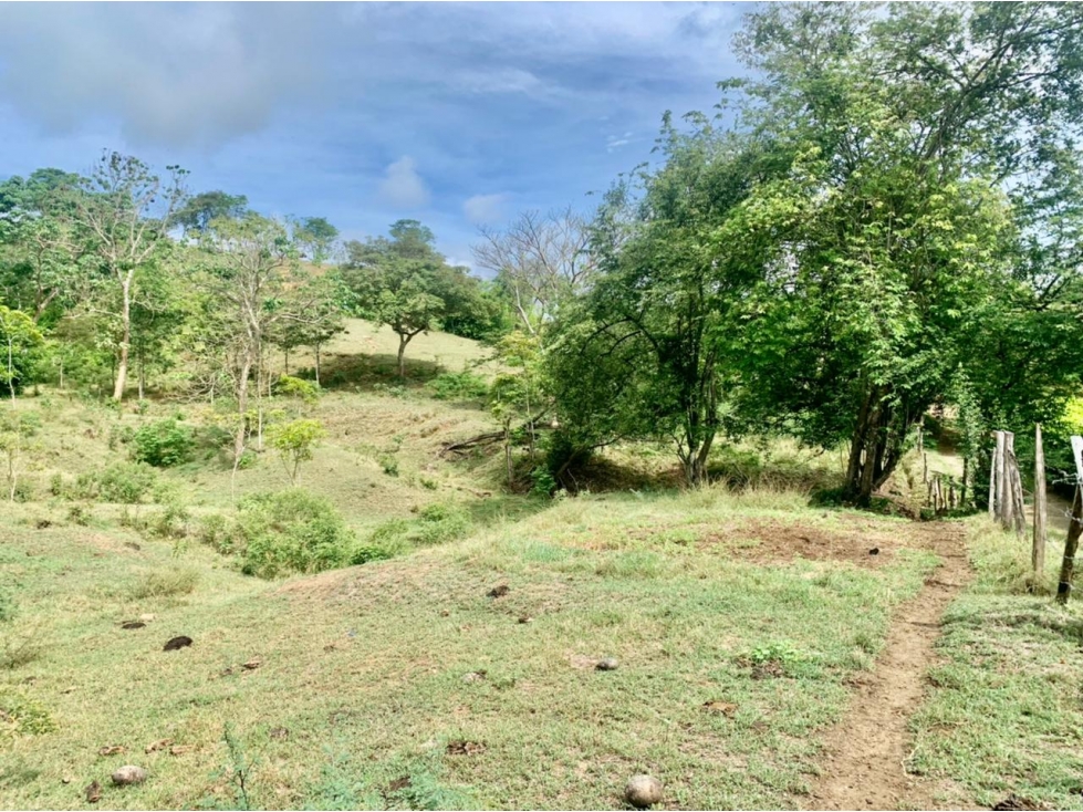 Lotes en venta en Sopetrán, Vereda Guaymaral — foto 4