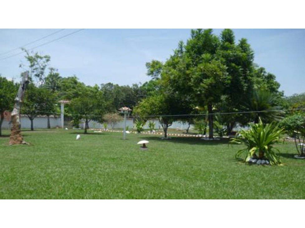 Lote en venta en Melgar Vía Carmen de Apicalá - 4