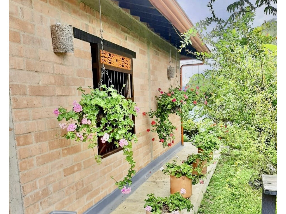 Finca en venta en Copacabana Vereda El Zarzal - 4