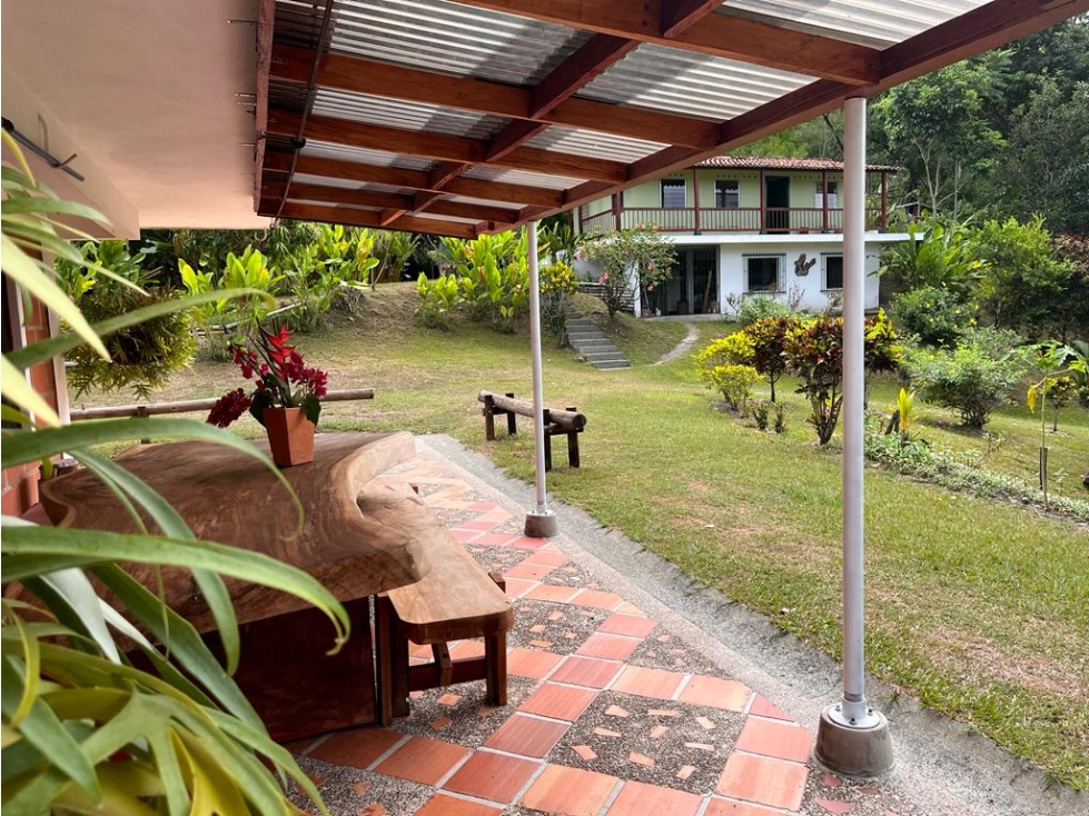 Finca en venta a 12 minutos de la Pintada - 4