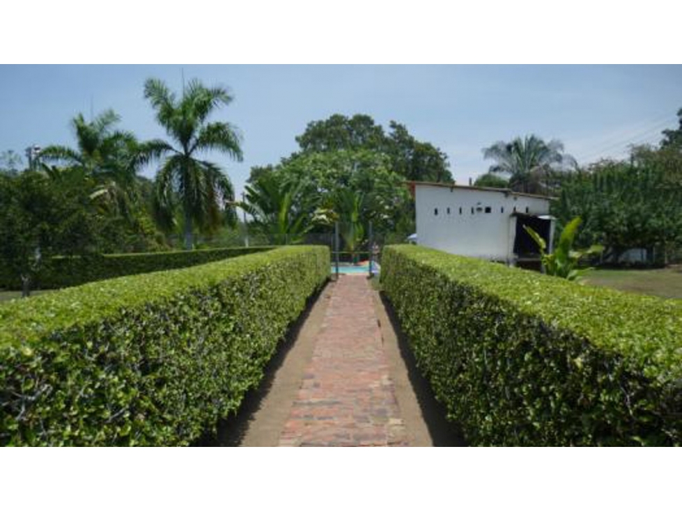 Lote en venta en Melgar Vía Carmen de Apicalá - 5