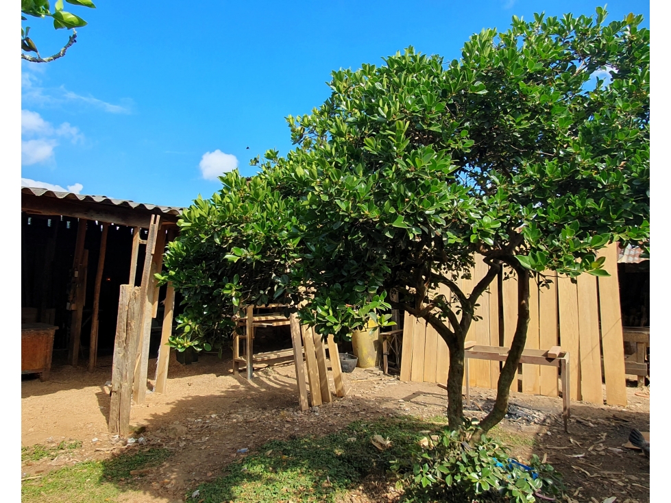 Casa-Lote a 2 cuadras del parque con potencial para desarrollo — foto 5
