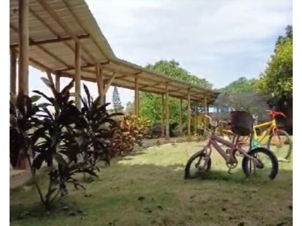 Finca en venta en Cundinamarca, La Mesa - 5